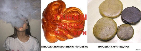 прущие грибы Нея