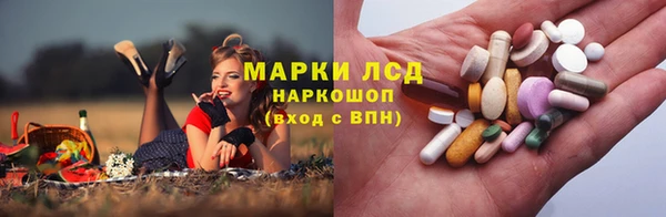 прущие грибы Нея