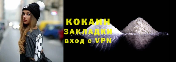 гашик Заполярный
